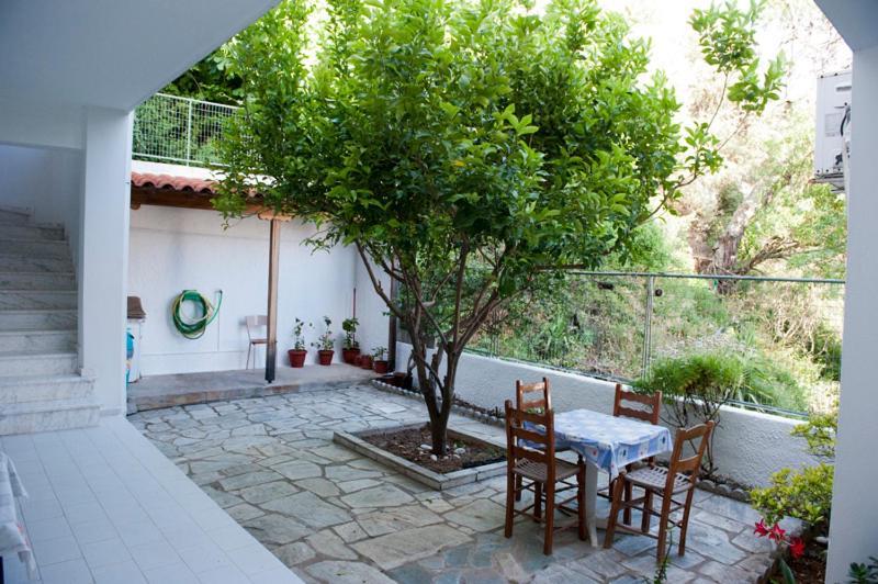העיירה סקיאתוס Syraina Apartments מראה חיצוני תמונה