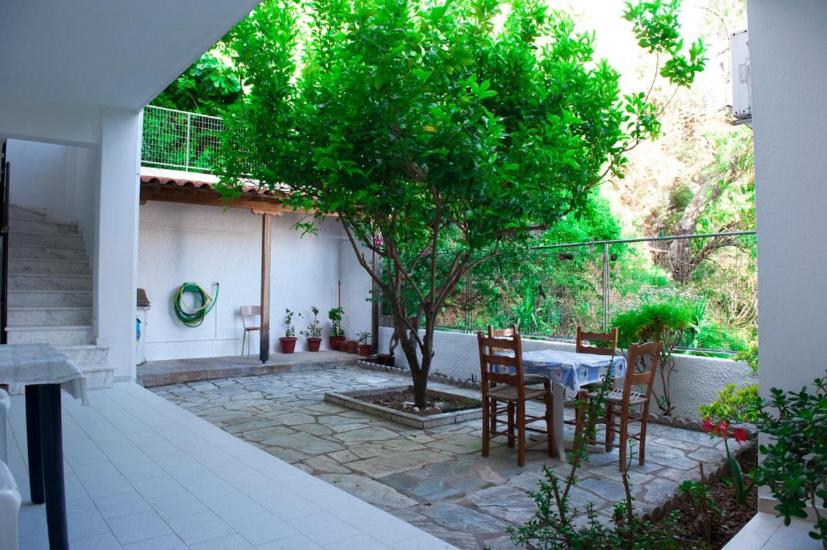 העיירה סקיאתוס Syraina Apartments מראה חיצוני תמונה